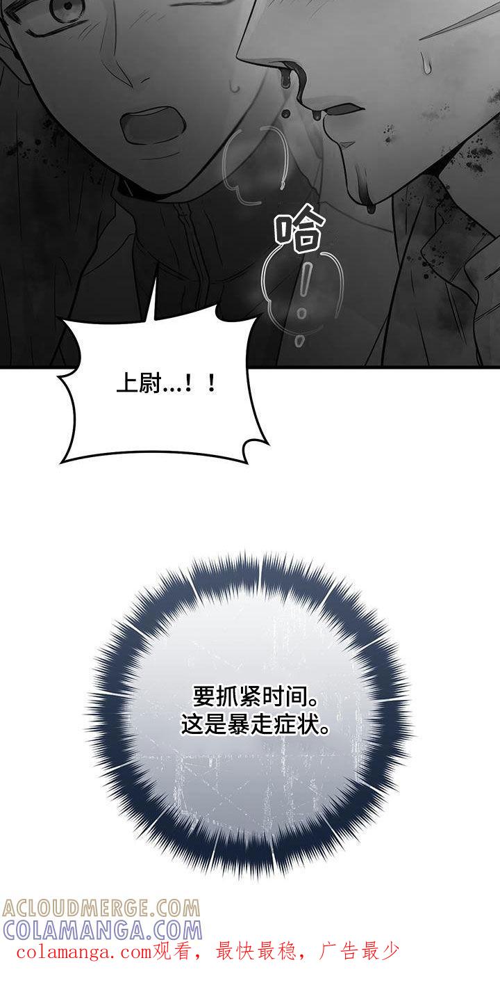 《绝命重逢》第55章：抓紧时间 第31页