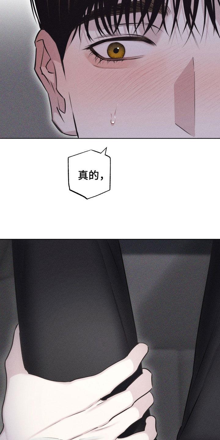 《瓷器》第55章：【第二季】维持关系 第20页