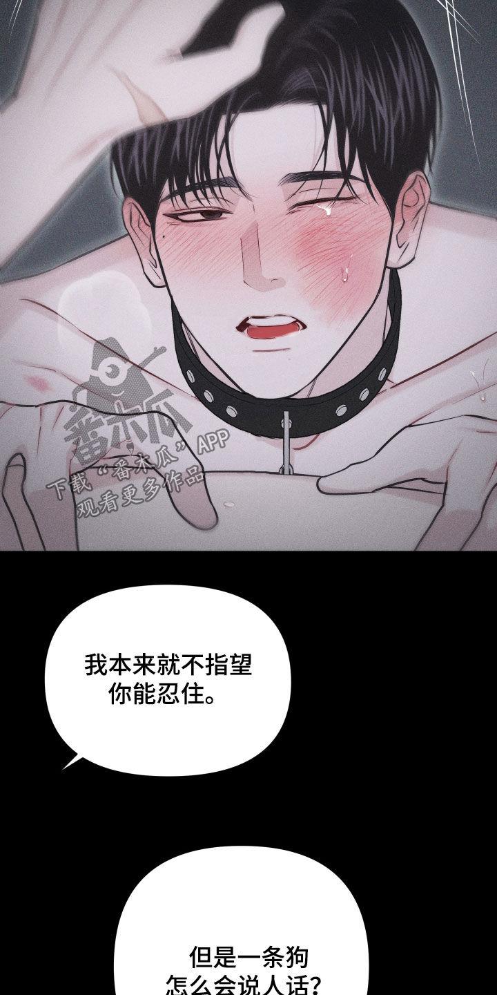《瓷器》第56章：【第二季】怎么会说人话 第38页