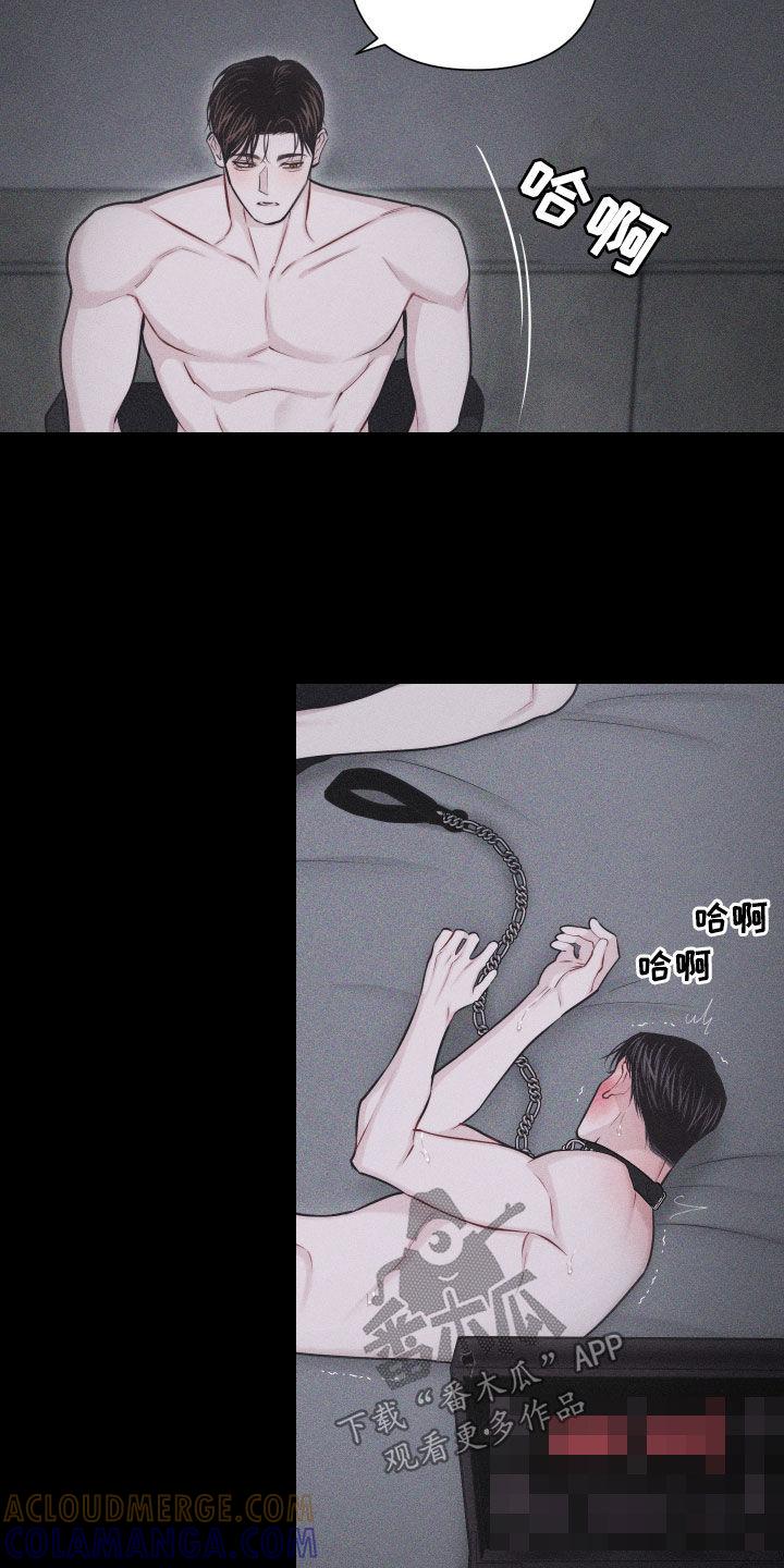 《瓷器》第56章：【第二季】怎么会说人话 第41页