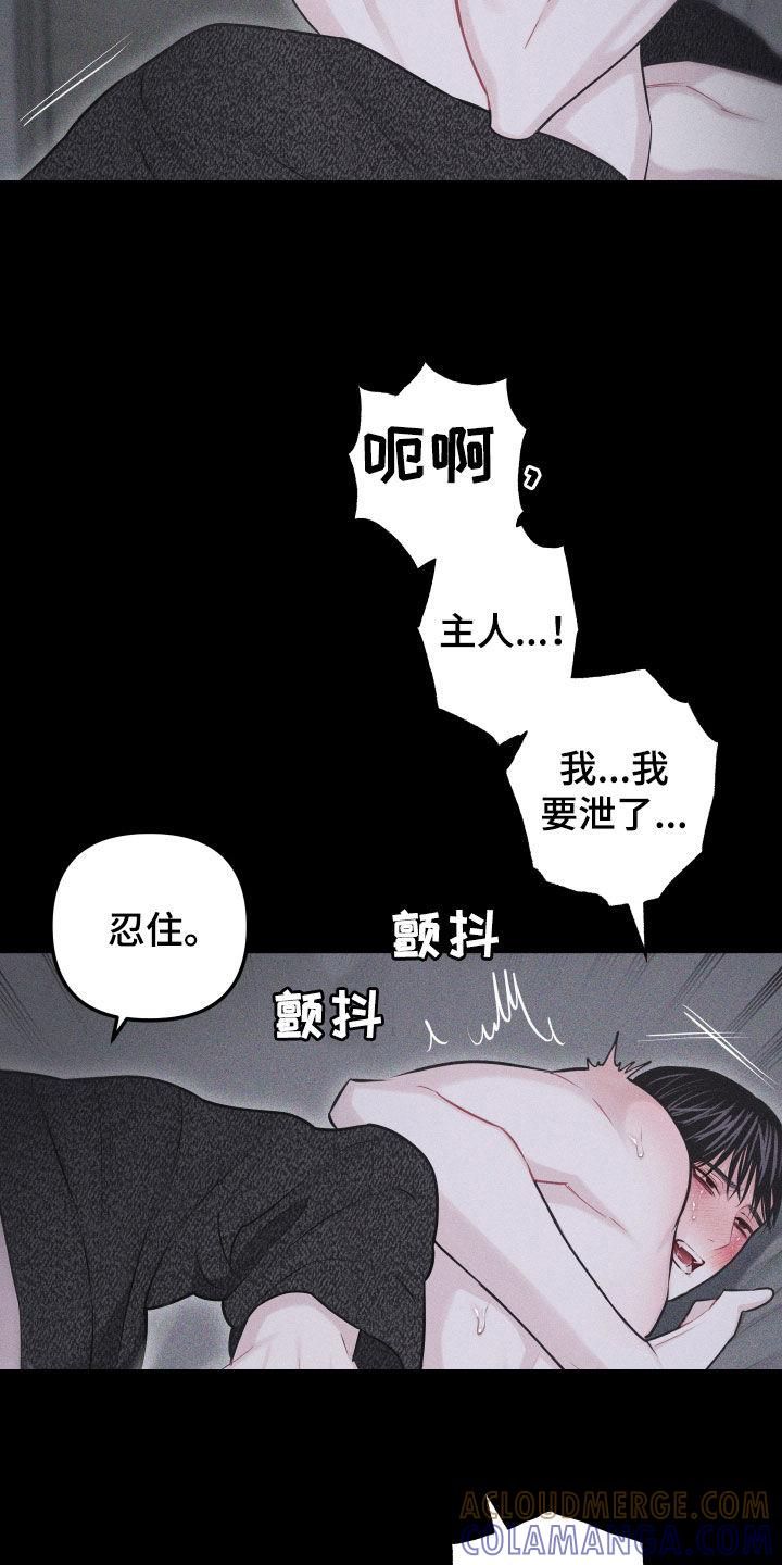《瓷器》第56章：【第二季】怎么会说人话 第33页