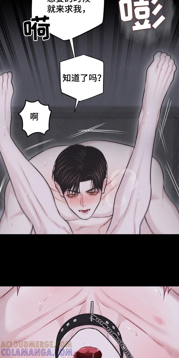 《瓷器》第57章：【第二季】像变了个人 第13页