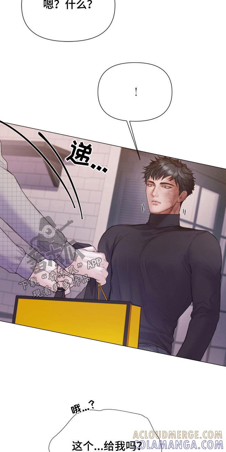 《致命咨询》第62章：礼物 第17页