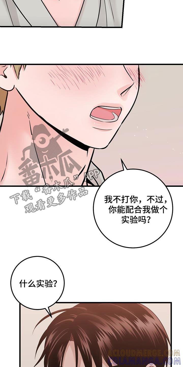 《绝命重逢》第63章：实验 第19页