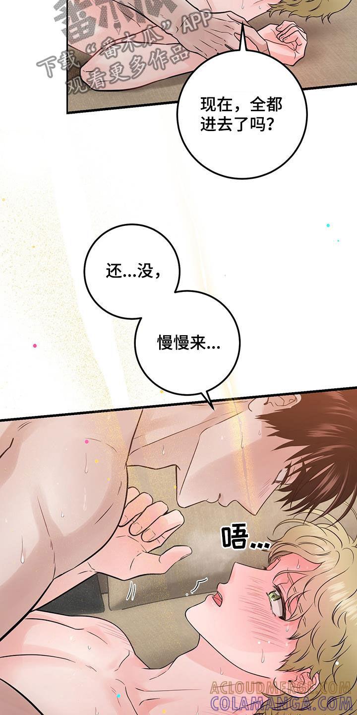 《绝命重逢》第65章：停不下来 第13页