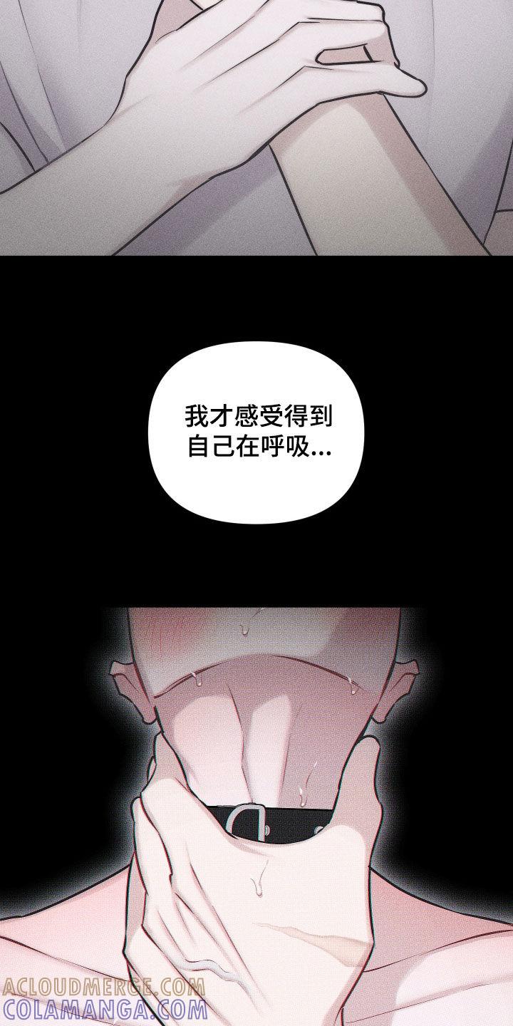 《瓷器》第66章：【第二季】新办法 第17页