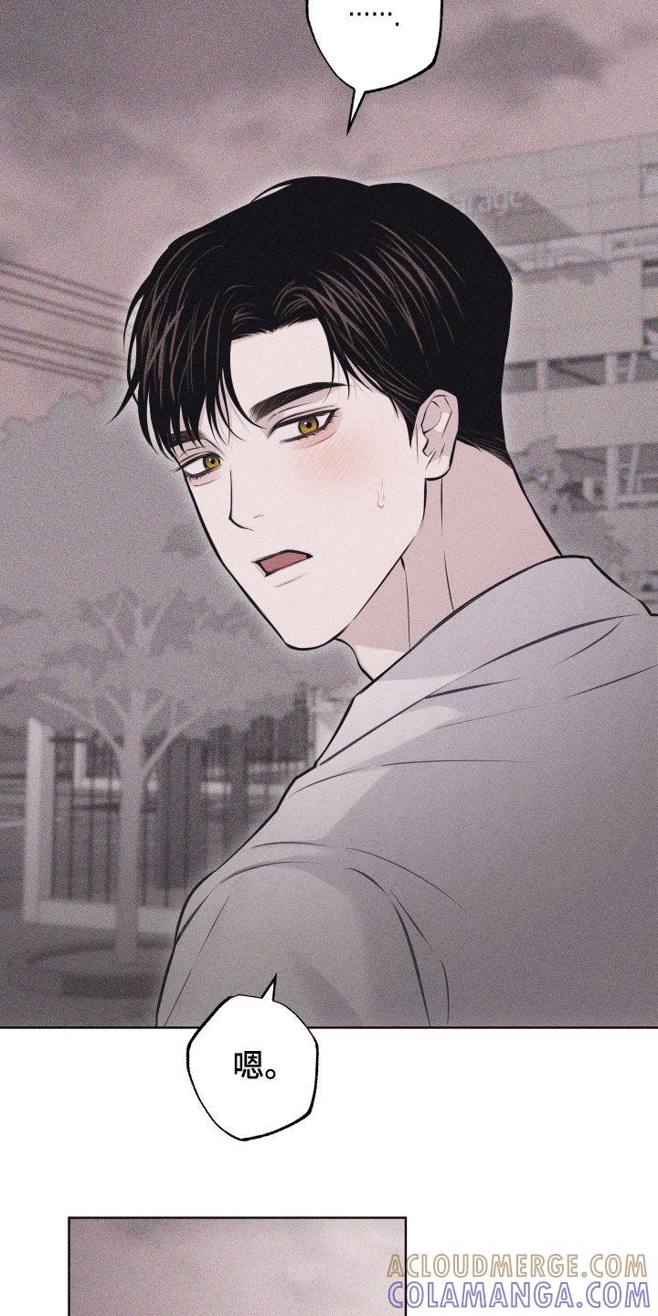 《瓷器》第68章：【第二季】不会出事的 第17页