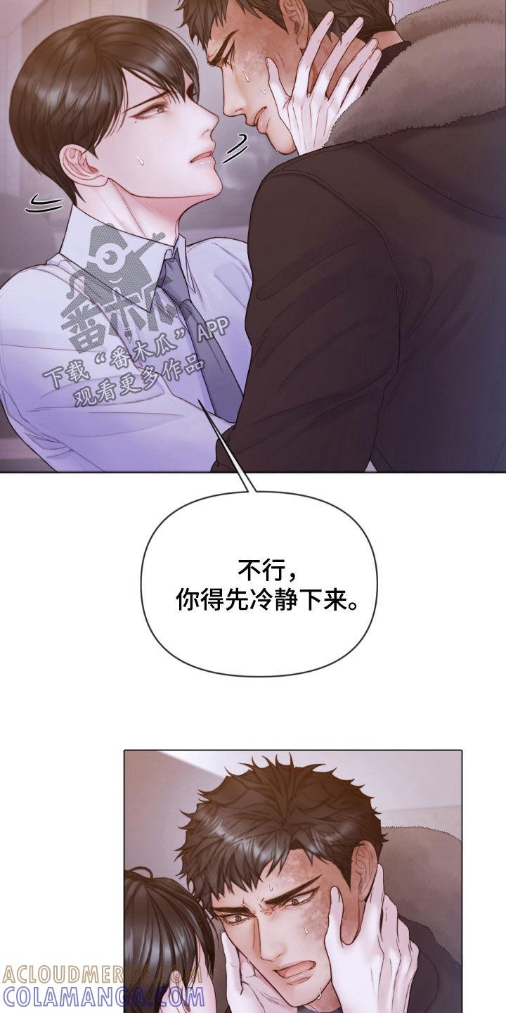 《致命咨询》第68章：冷静下来 第21页