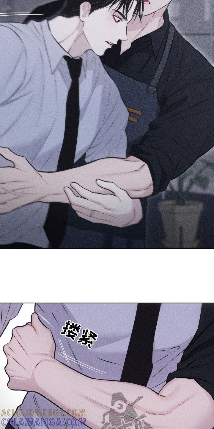 《瓷器》第69章：【第二季】拉开距离 第13页