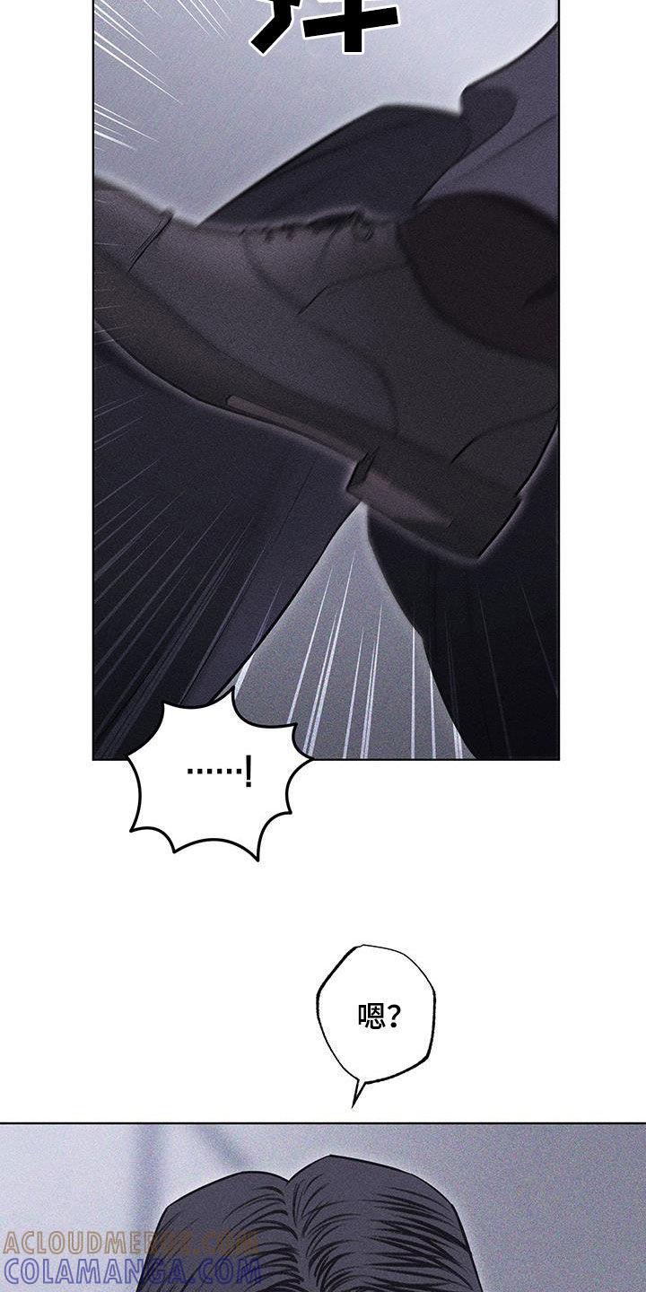 《瓷器》第71章：【第二季】羞辱 第17页