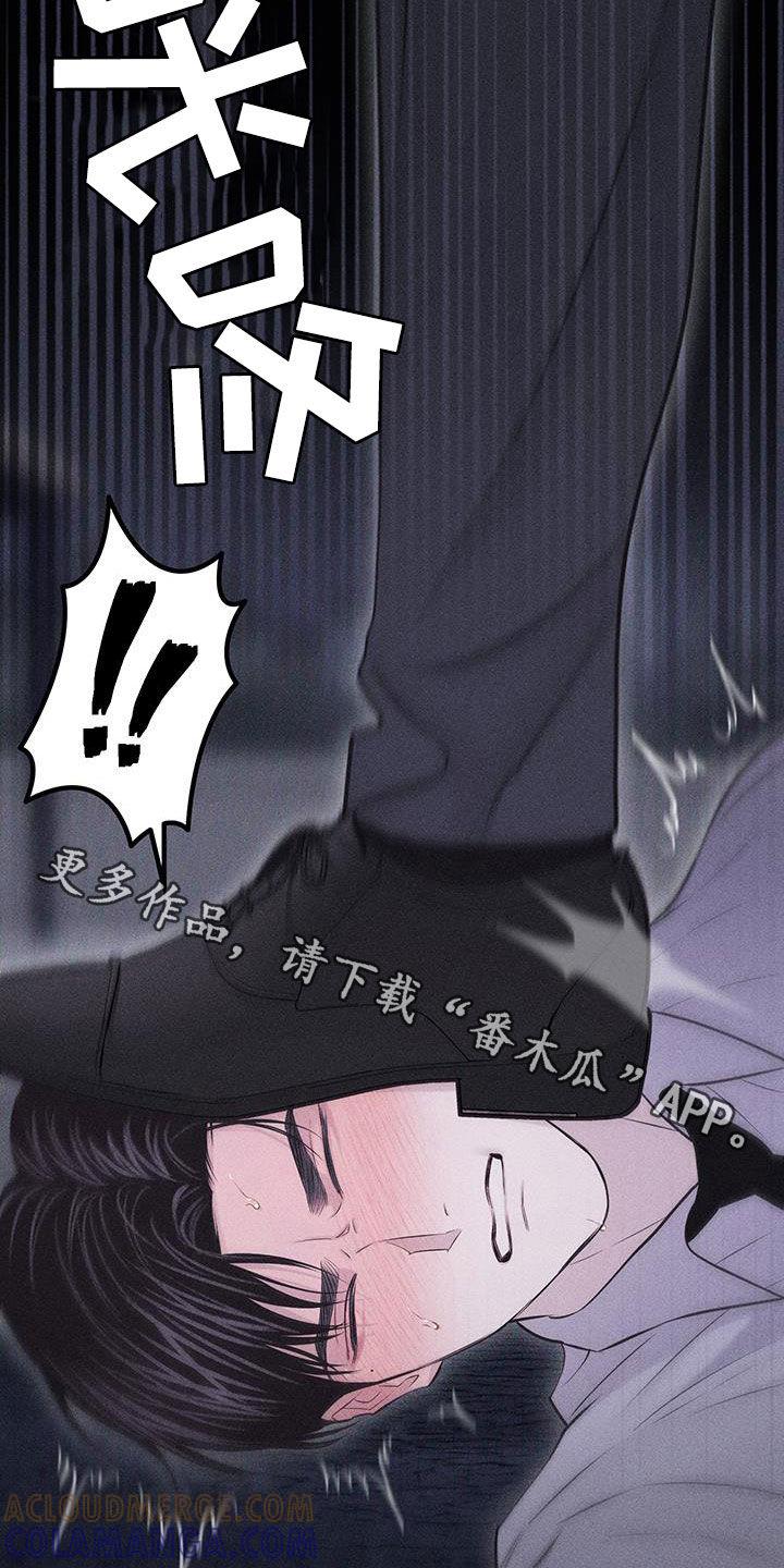 《瓷器》第71章：【第二季】羞辱 第29页