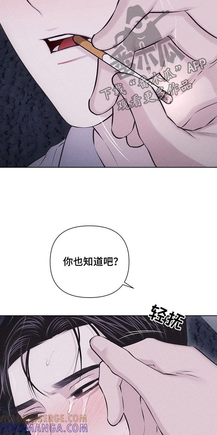 《瓷器》第72章：【第二季】替身 第13页