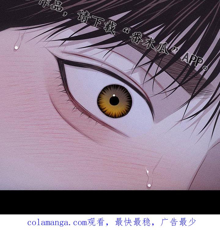《瓷器》第75章：【第二季】我做不到 第26页