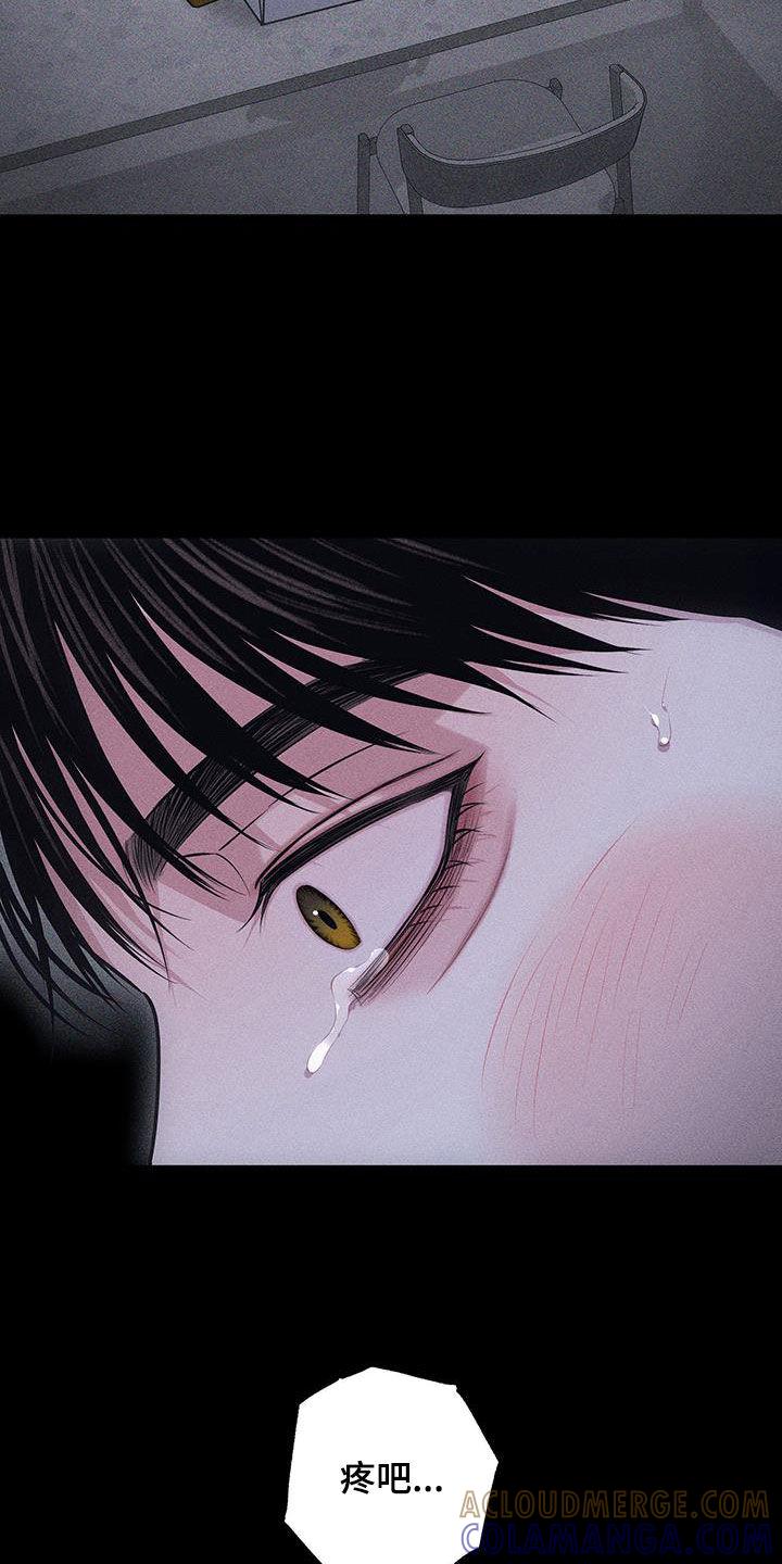 《瓷器》第75章：【第二季】我做不到 第11页
