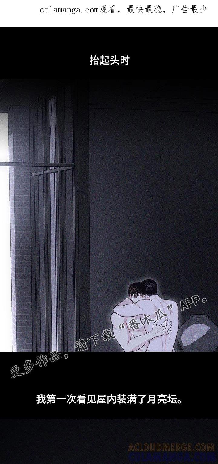《瓷器》第76章：【第二季】一直疼下去 第1页