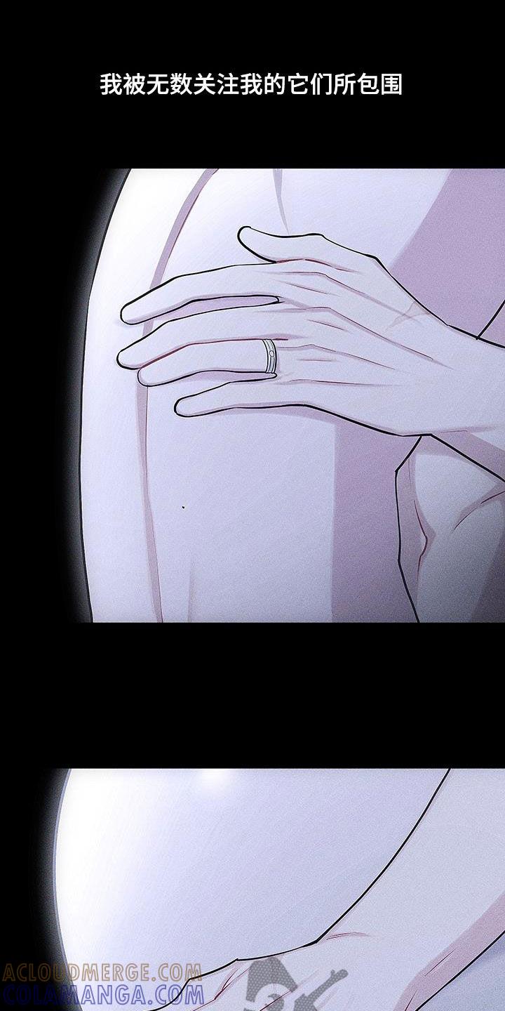 《瓷器》第76章：【第二季】一直疼下去 第5页