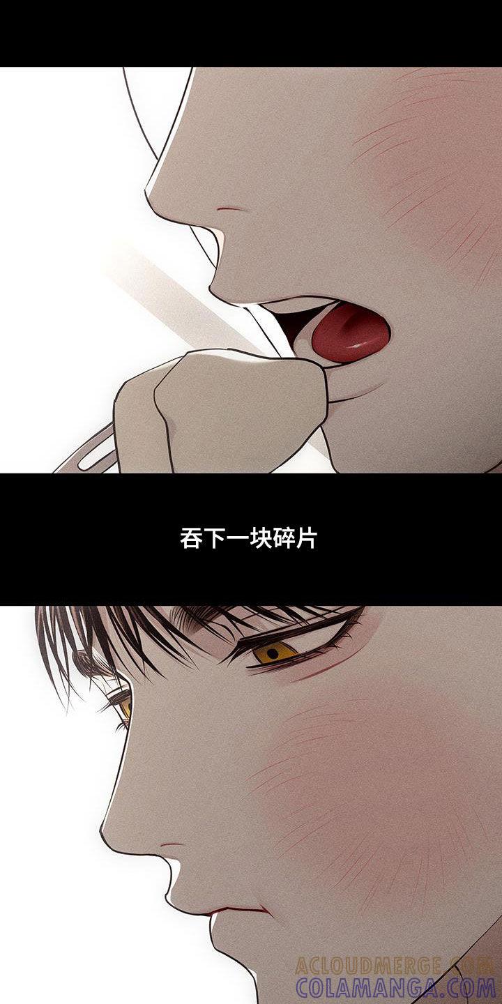 《瓷器》第76章：【第二季】一直疼下去 第19页