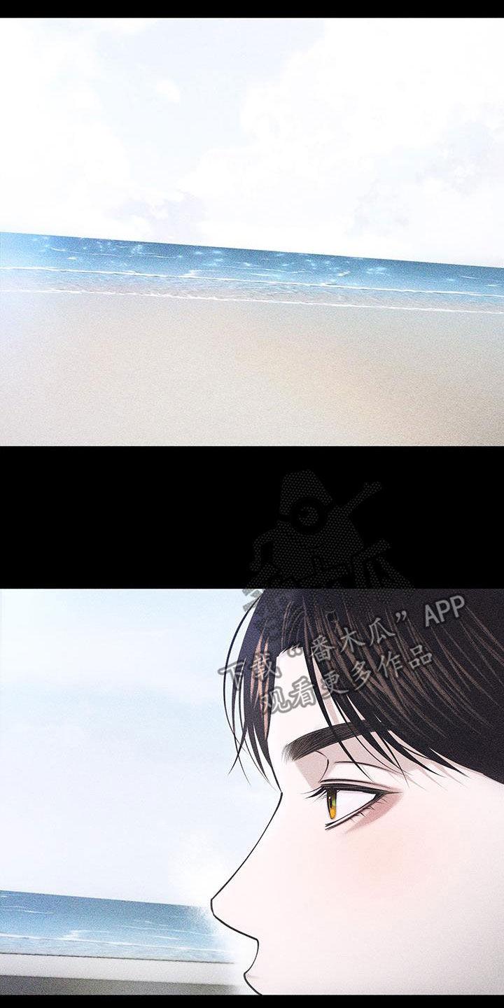 《瓷器》第77章：【第二季】相似的人 第12页