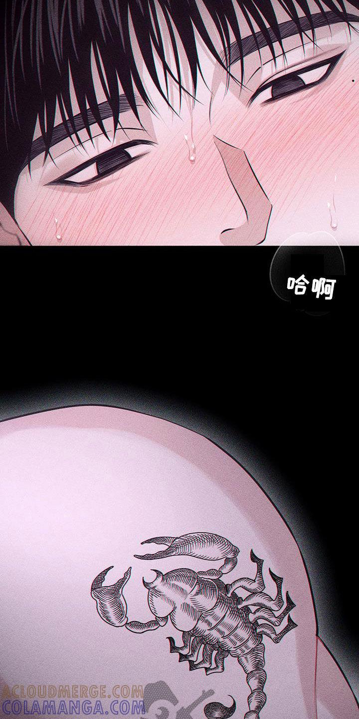 《瓷器》第79章：【第二季】展览 第5页