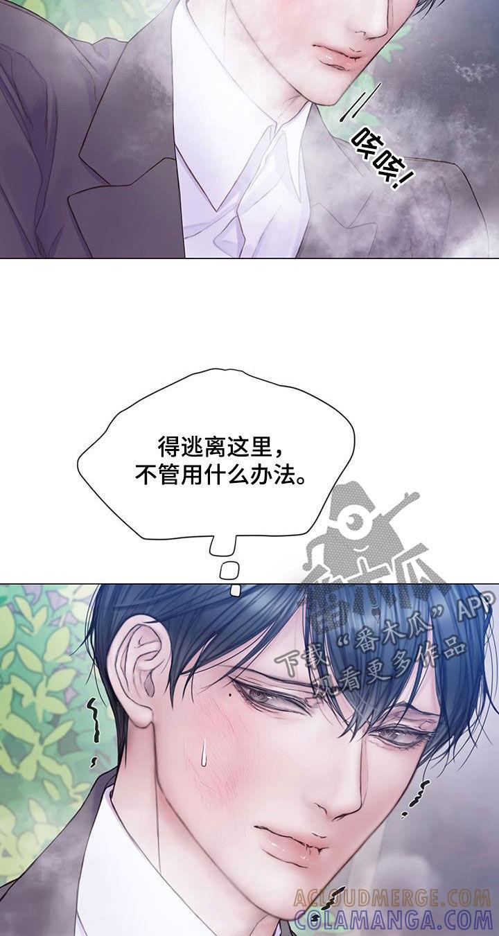 《致命咨询》第79章：【第二季】我等了那么久 第11页
