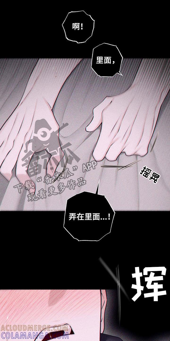 《瓷器》第79章：【第二季】展览 第3页