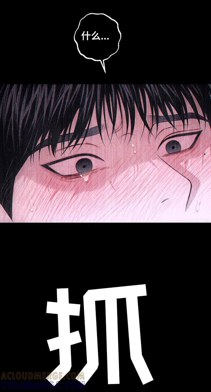 《瓷器》第79章：【第二季】展览 第7页