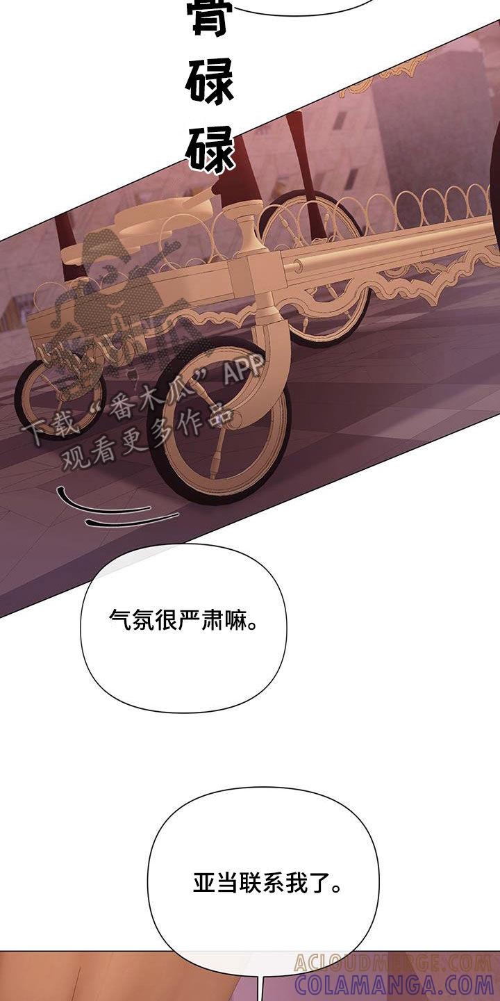 《致命咨询》第82章：【第二季】全都疯了 第11页