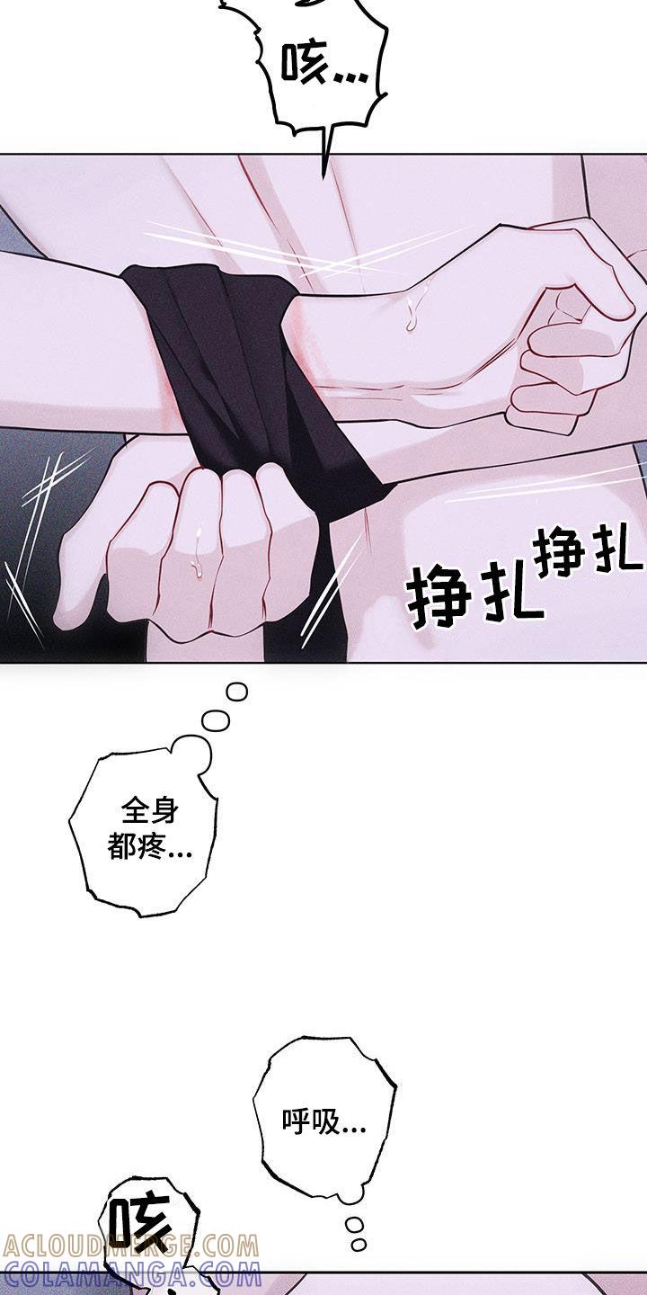 《瓷器》第85章：【第二季】他不在 第17页