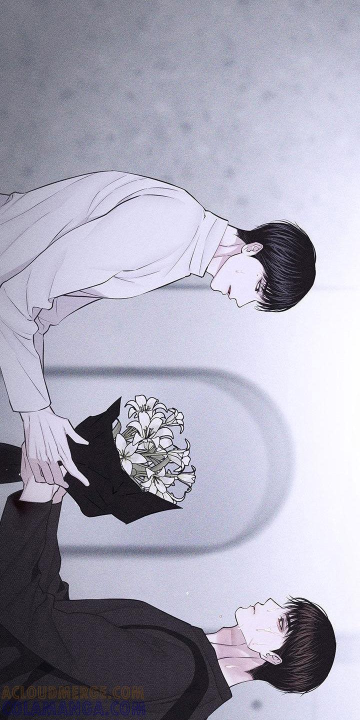 《瓷器》第88章：【第二季】来访 第19页
