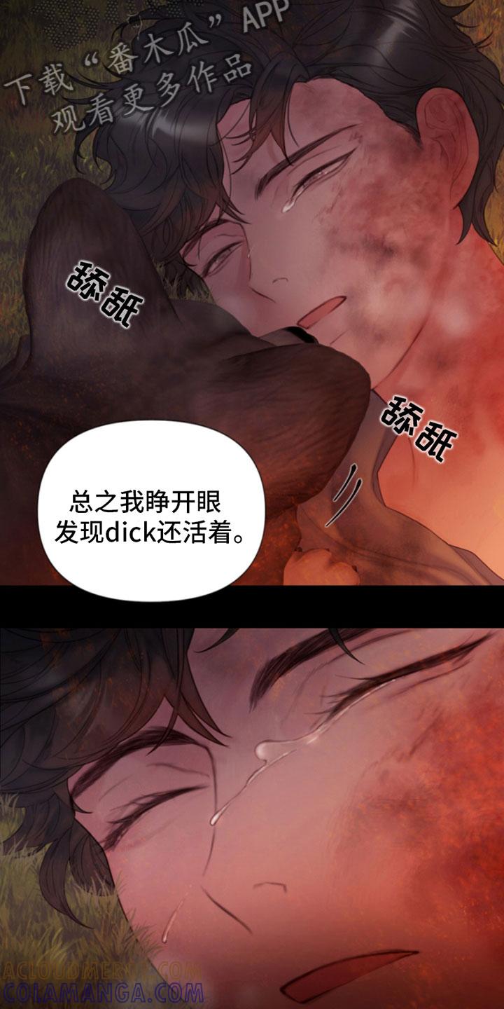 《致命咨询》第9章：暴起 第11页