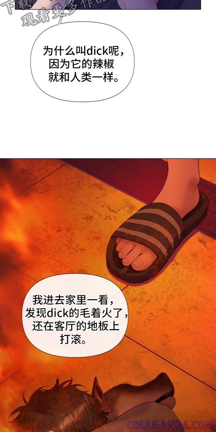 《致命咨询》第9章：暴起 第7页
