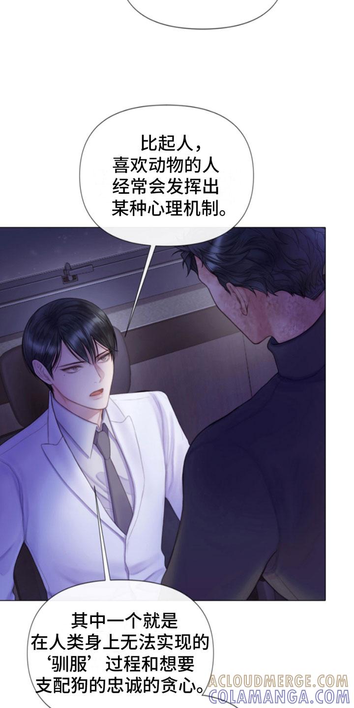 《致命咨询》第9章：暴起 第29页