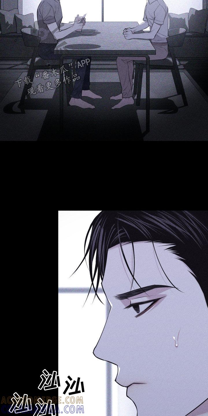 《瓷器》第94章：【第二季】我是认真的 第19页