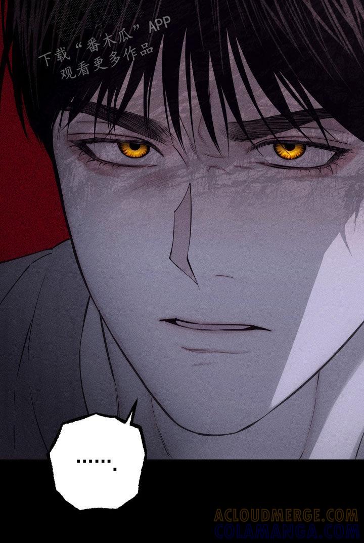 《瓷器》第96章：【第二季】我喜欢你 第13页