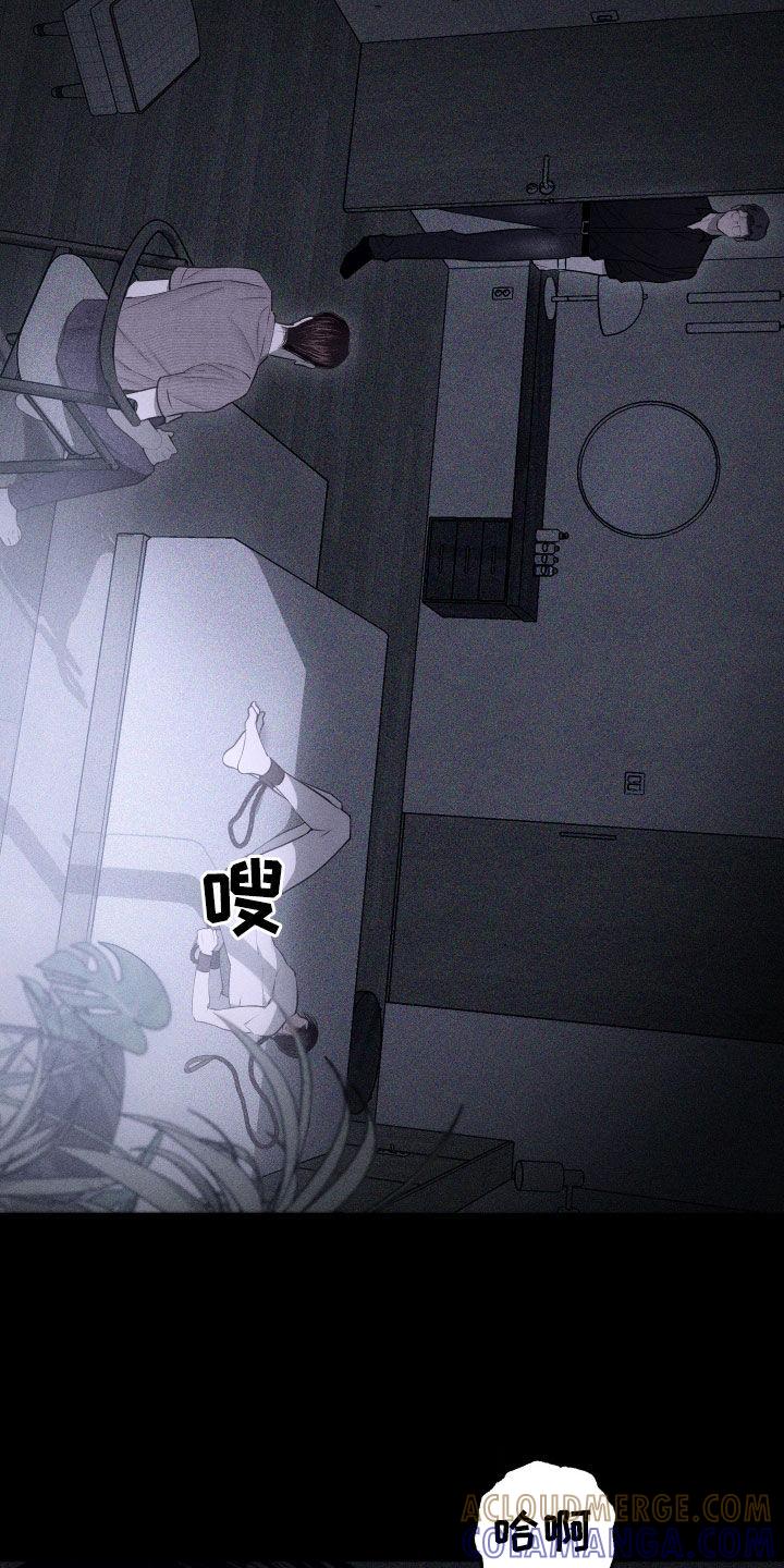 《瓷器》第96章：【第二季】我喜欢你 第7页