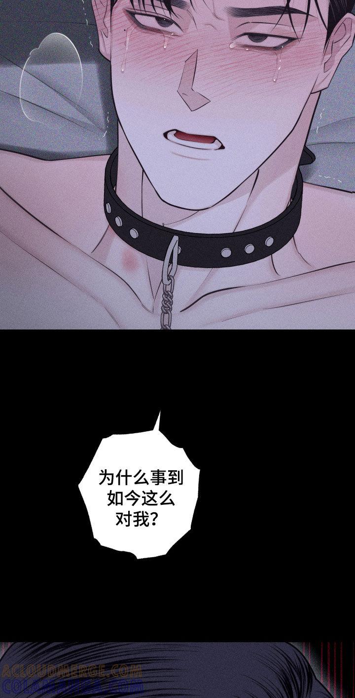 《瓷器》第97章：【第二季】接受伤害 第21页