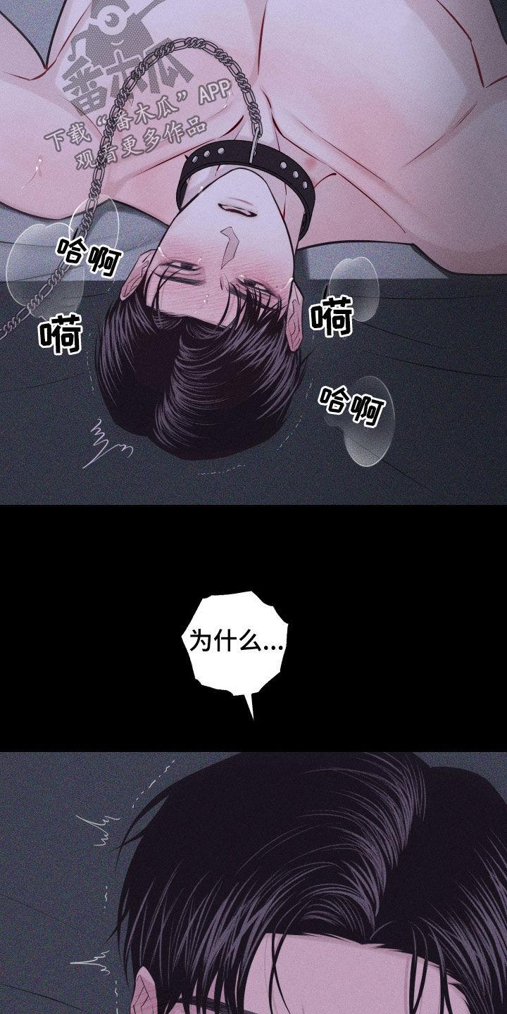 《瓷器》第97章：【第二季】接受伤害 第20页