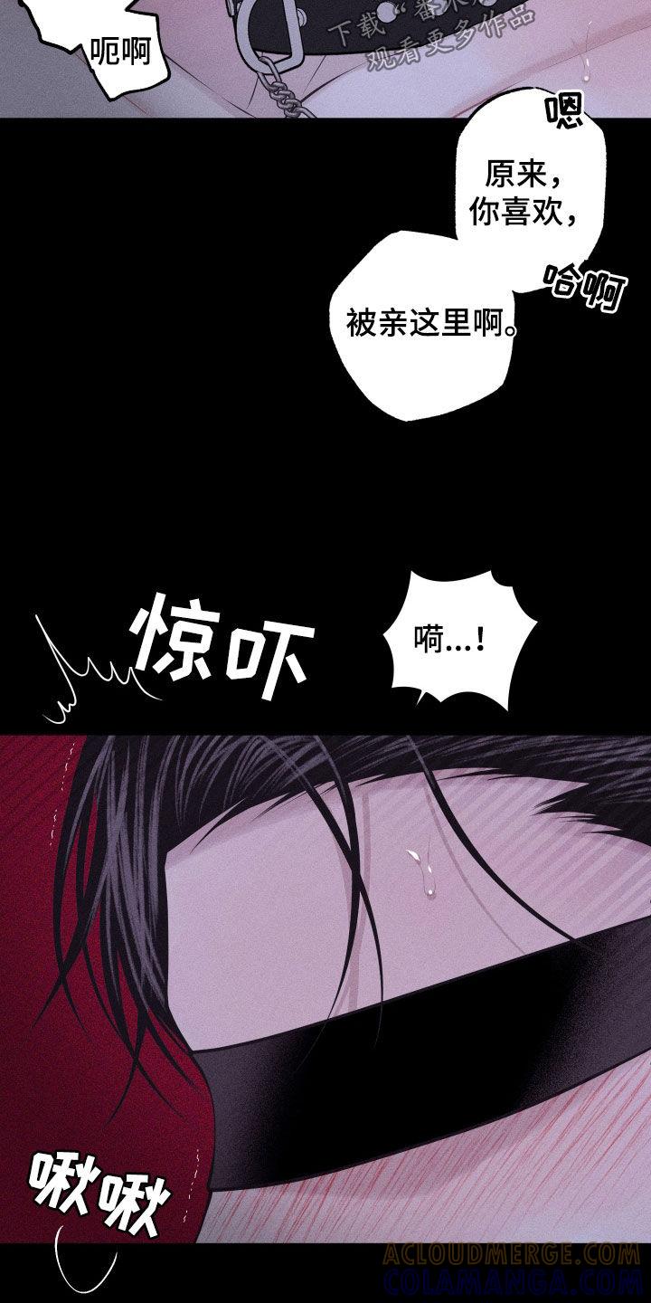 《瓷器》第97章：【第二季】接受伤害 第7页
