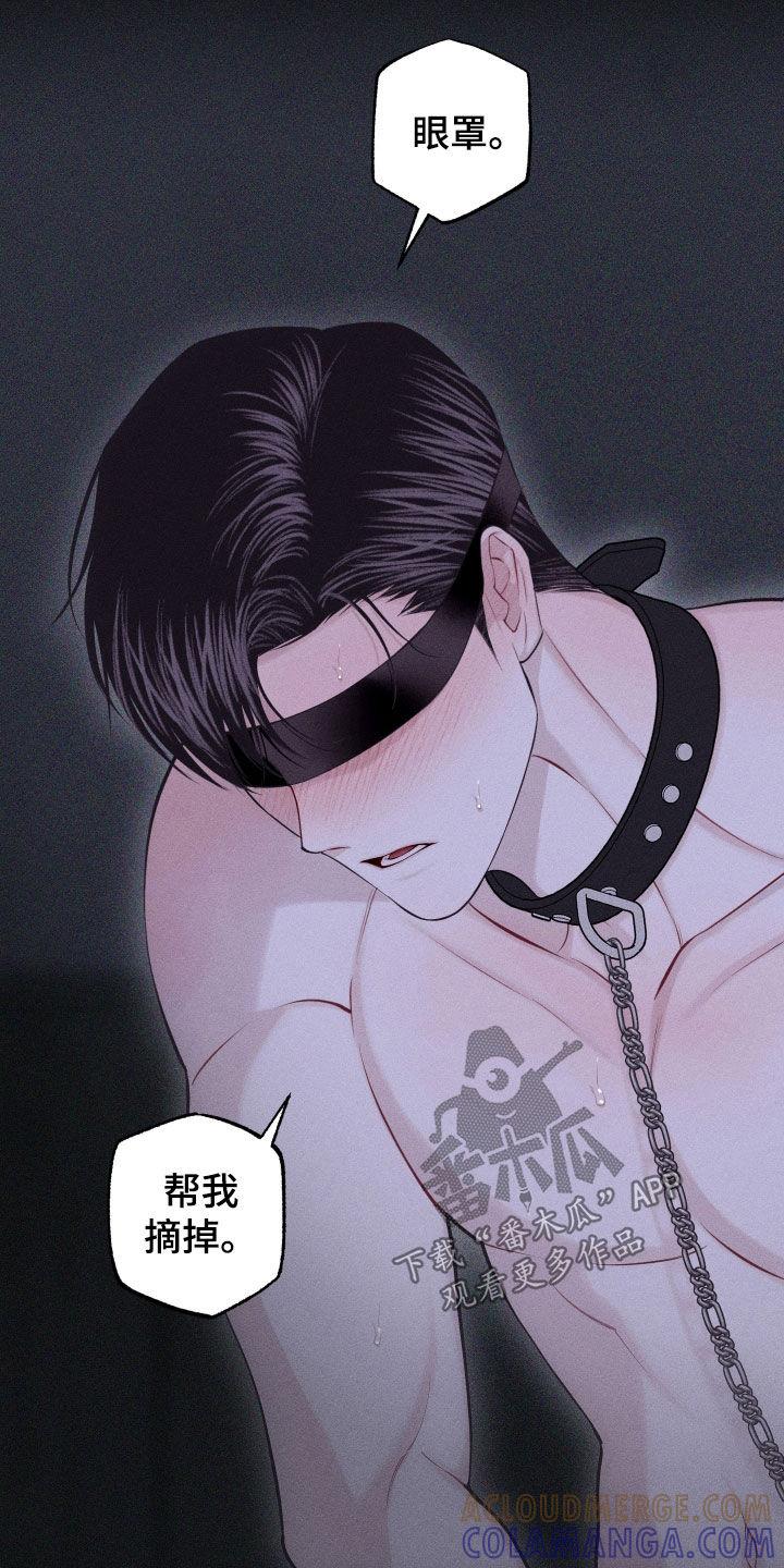 《瓷器》第97章：【第二季】接受伤害 第11页