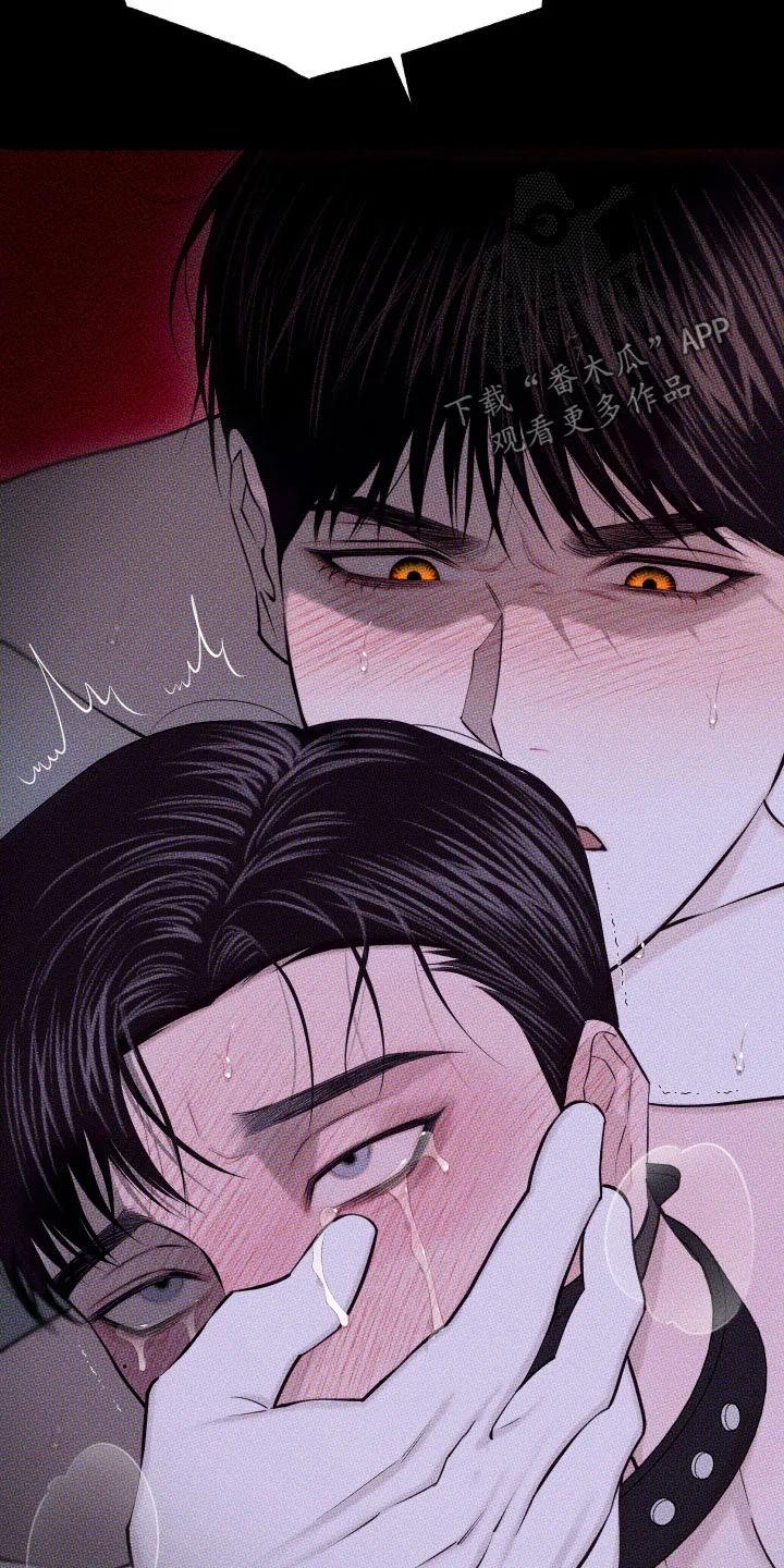 《瓷器》第99章：【第二季】谢谢你 第12页