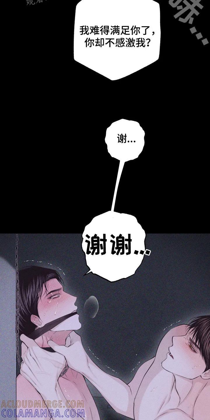 《瓷器》第99章：【第二季】谢谢你 第21页