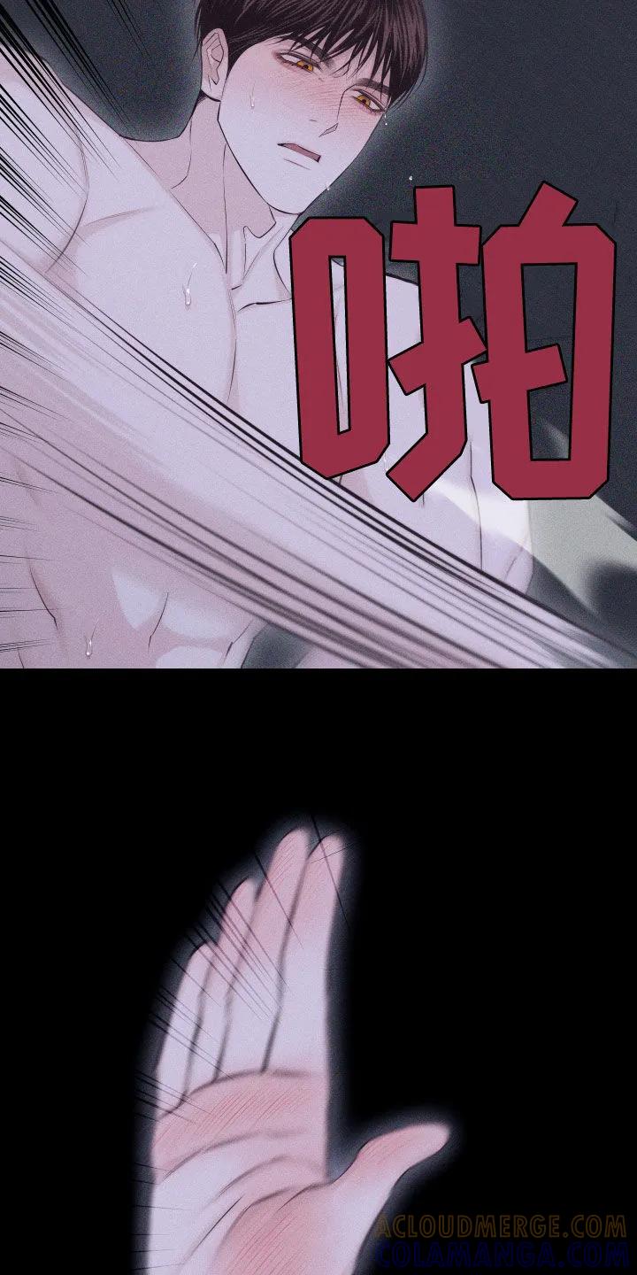 《瓷器》第99章：【第二季】谢谢你 第17页