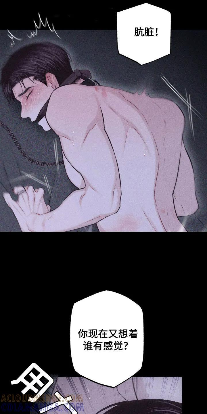 《瓷器》第99章：【第二季】谢谢你 第7页