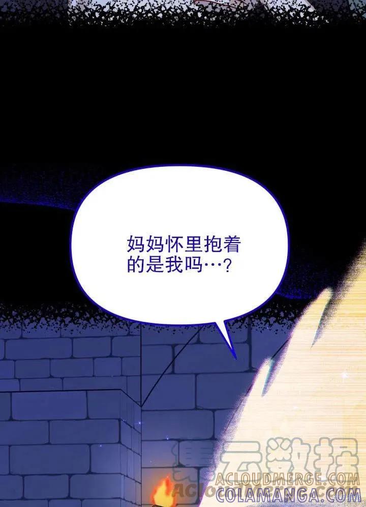 《王女在装疯卖傻》第48话 第29页