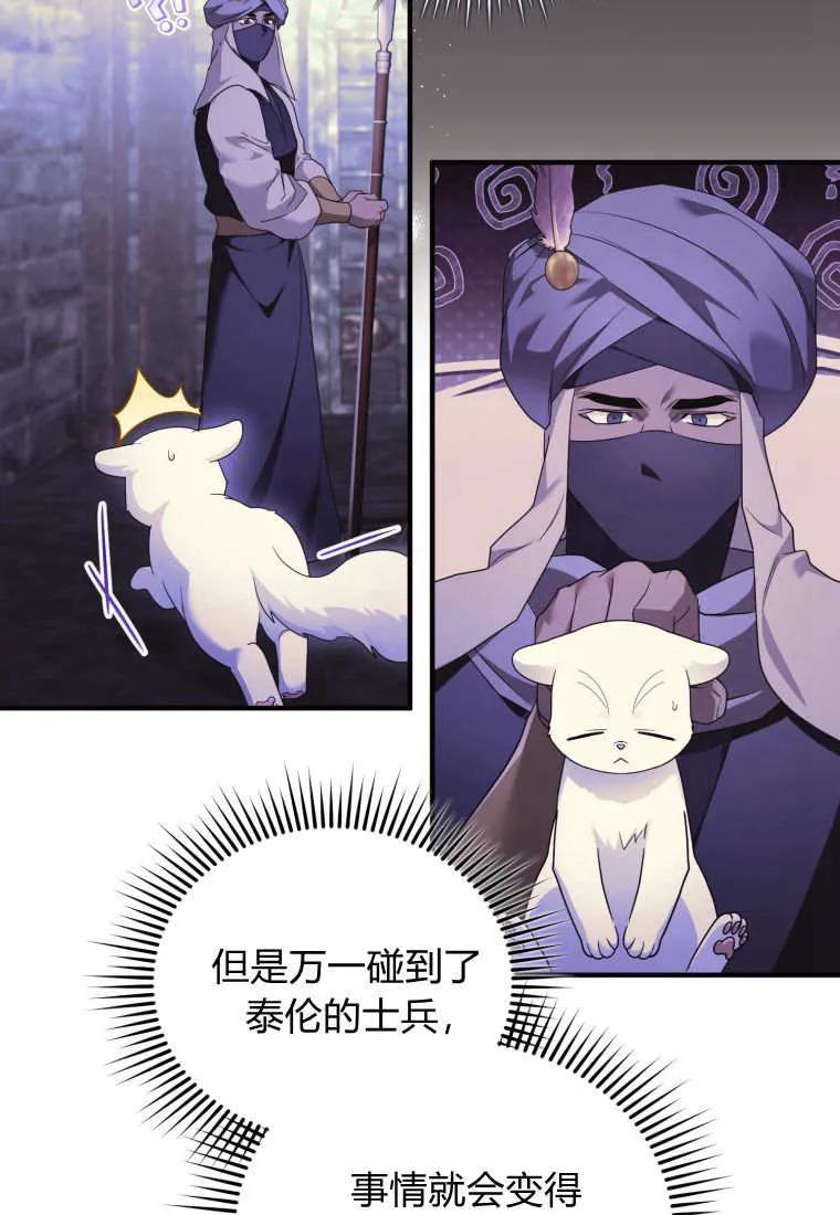 成为苏尔坦珍爱的猫咪 第70话 第18页