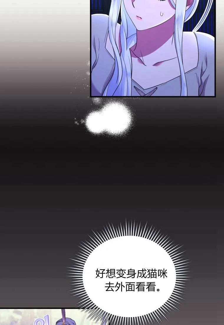 成为苏尔坦珍爱的猫咪 第70话 第17页