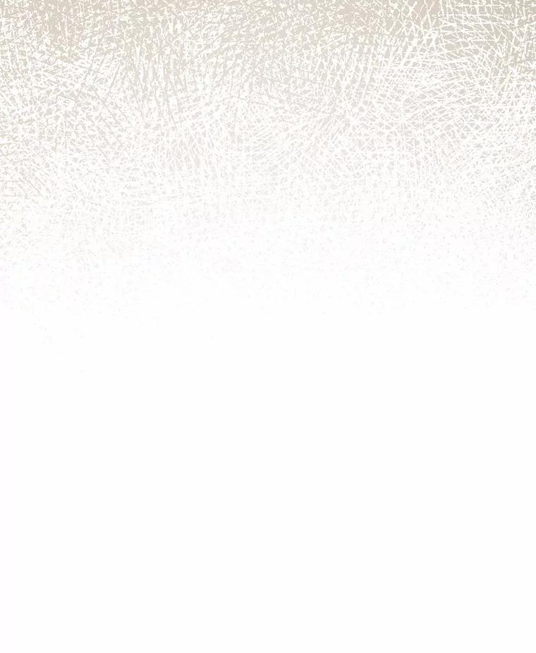 《菲奥尼：预见我与恶魔大公的未来》17.完成你的嘱托 第108页