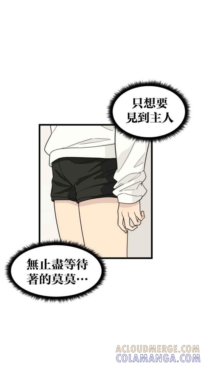 《只属于我的主人》[第36话] 不要变回狗（2_2） 第37页