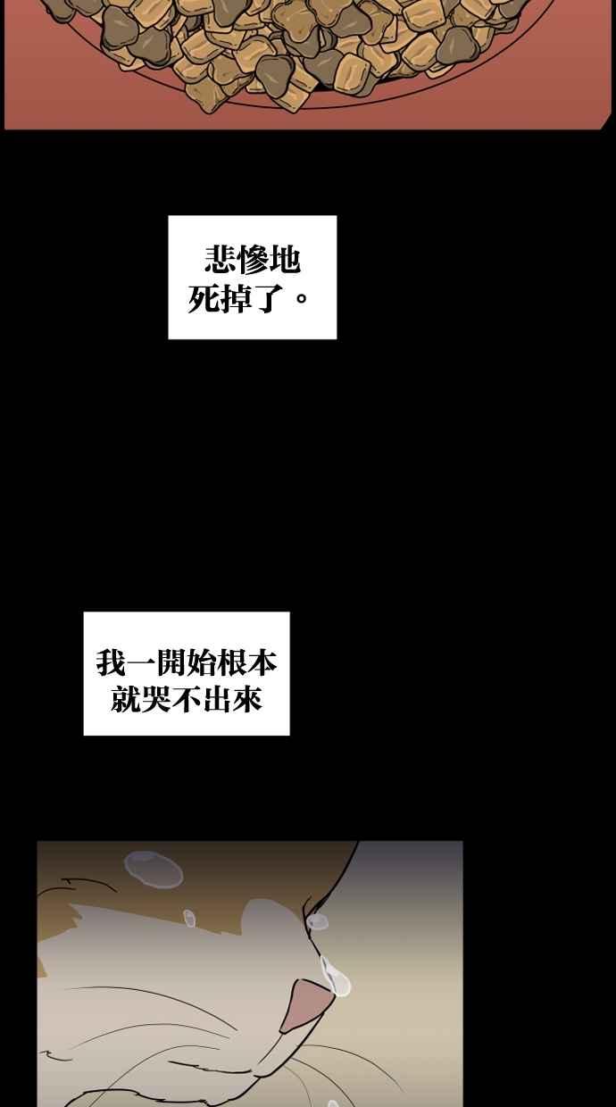 《只属于我的主人》[第9话] 喵星的故事 第35页