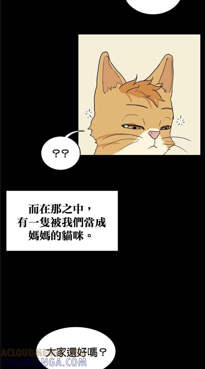 《只属于我的主人》[第9话] 喵星的故事 第7页